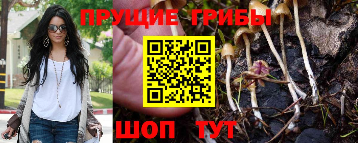 Галлюциногенные грибы Magic Shrooms Сухой Лог