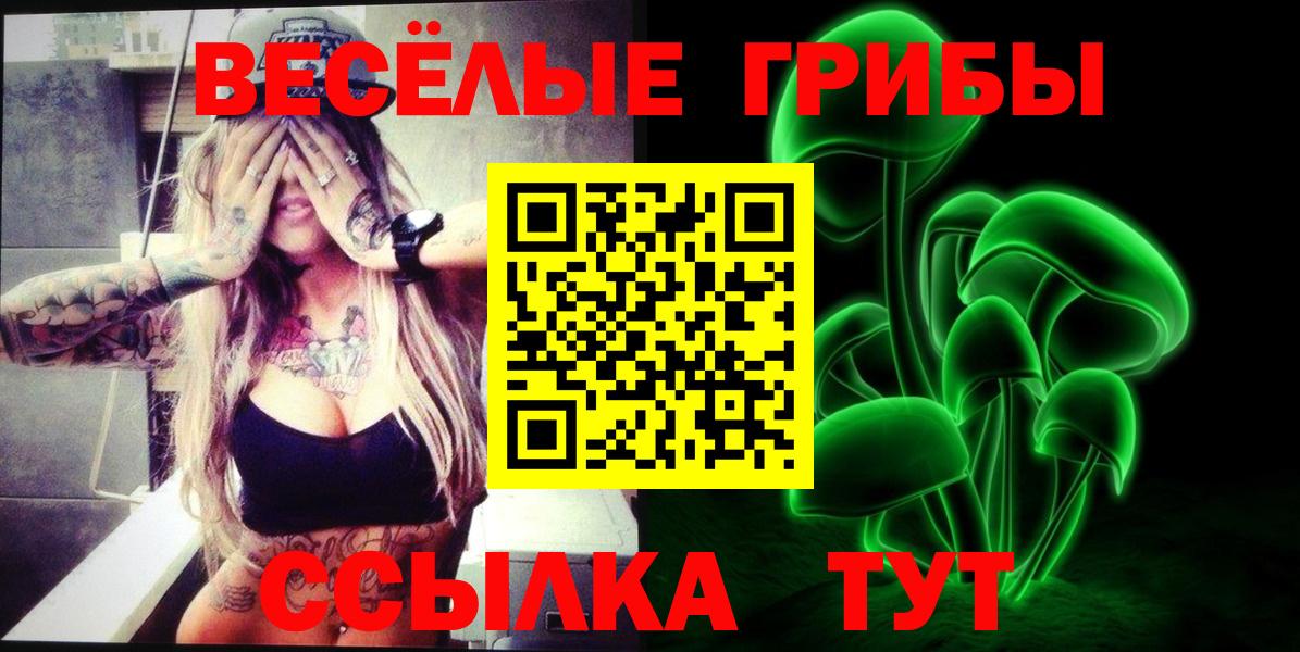 Сухой Лог  Галлюциногенные грибы GOLDEN TEACHER  Вход с VPN 